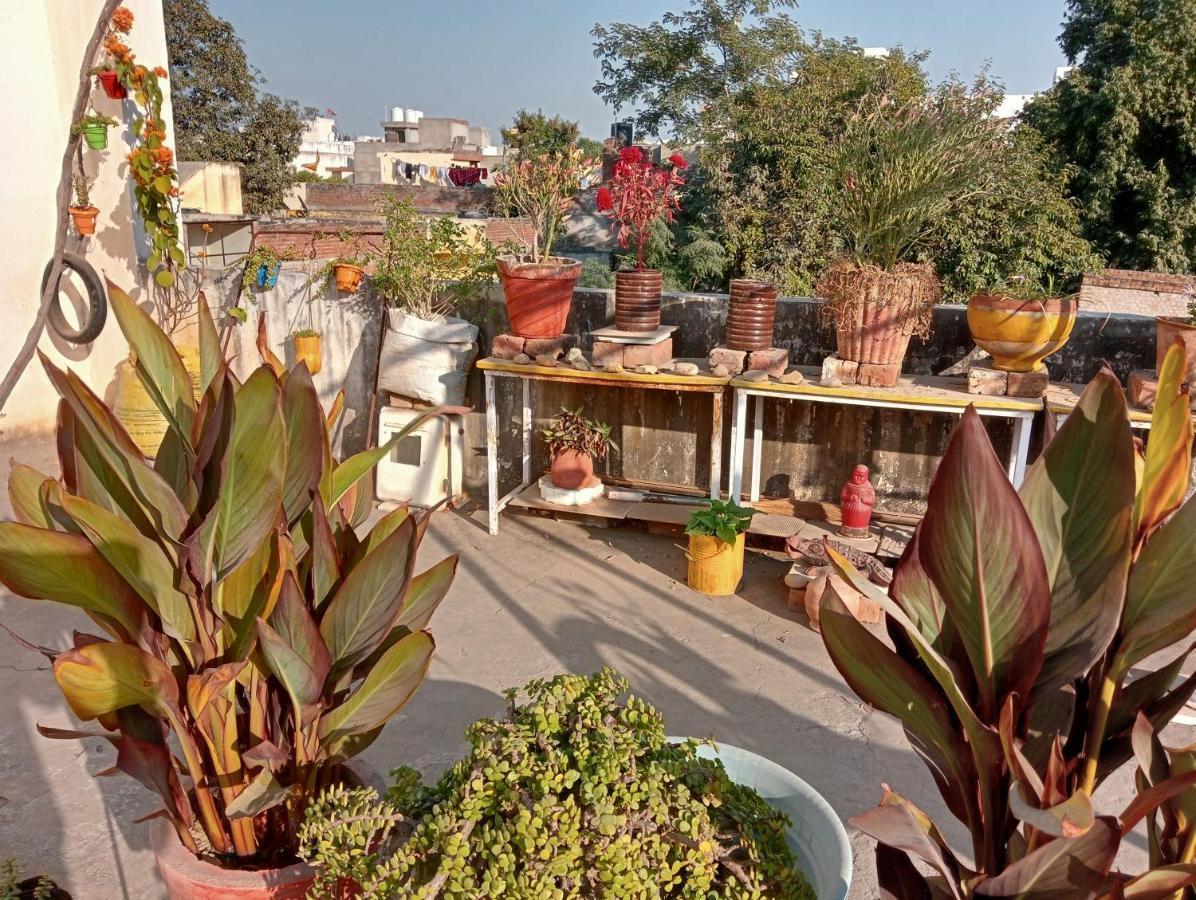 Jaipur Marigold Homestay Exterior foto